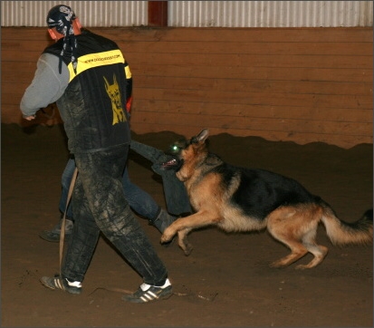 Training in Estonia 11/2007